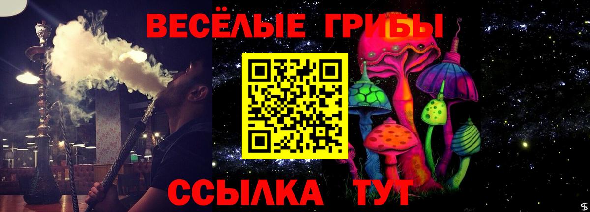Галлюциногенные грибы Psilocybe Туапсе