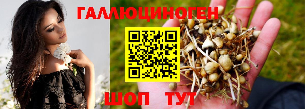 Туапсе  Псилоцибиновые грибы MAGIC MUSHROOMS  Вход с VPN  Псилоцибиновые грибы Cubensis 